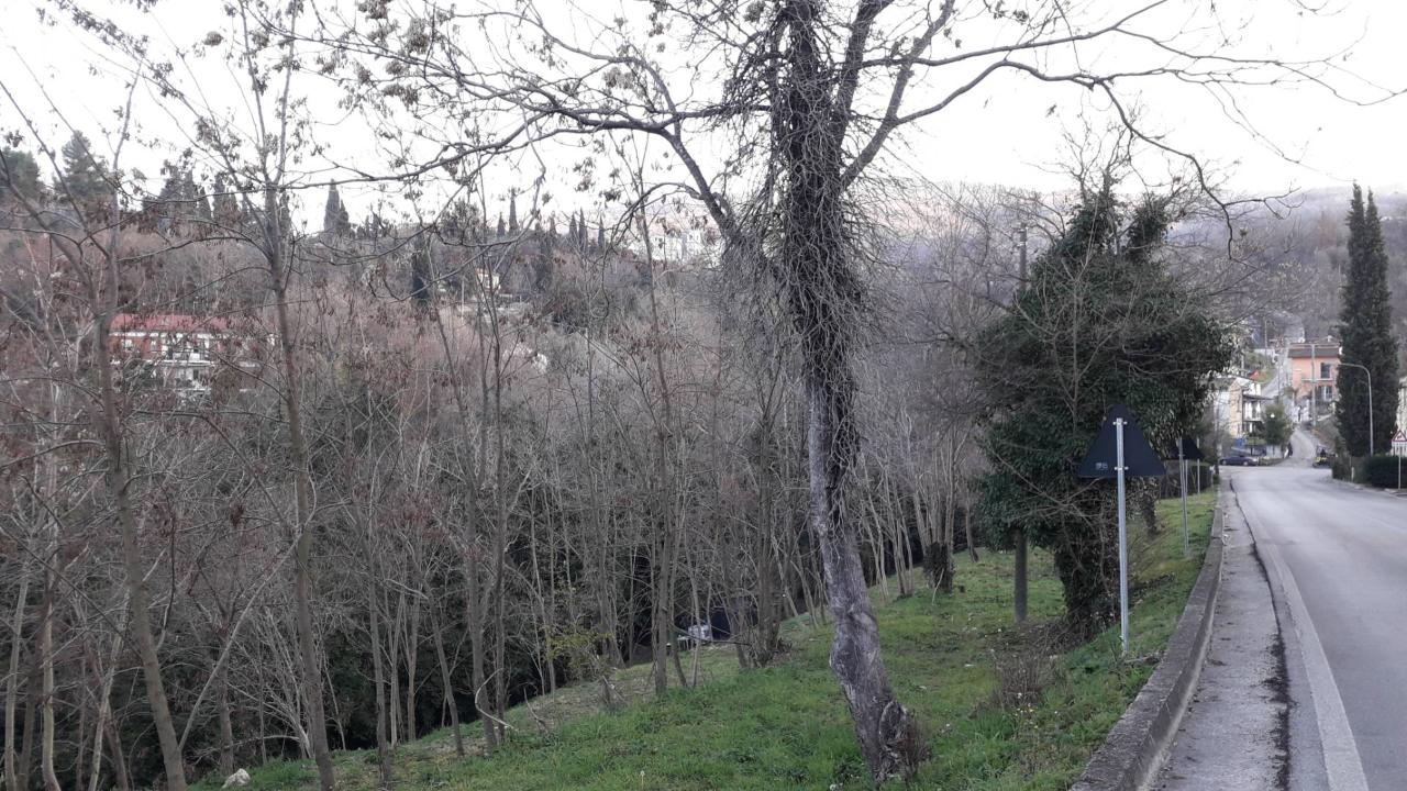 Terreno agricolo in vendita a Manoppello