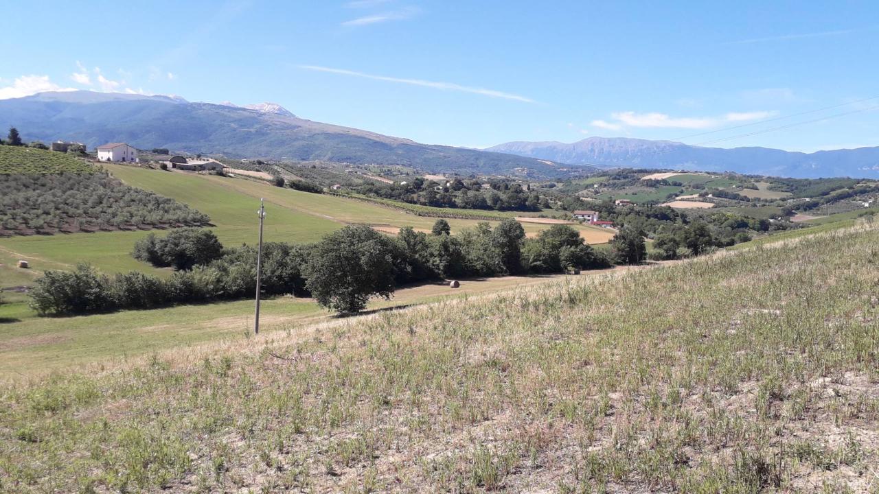 Terreno agricolo in vendita a Manoppello