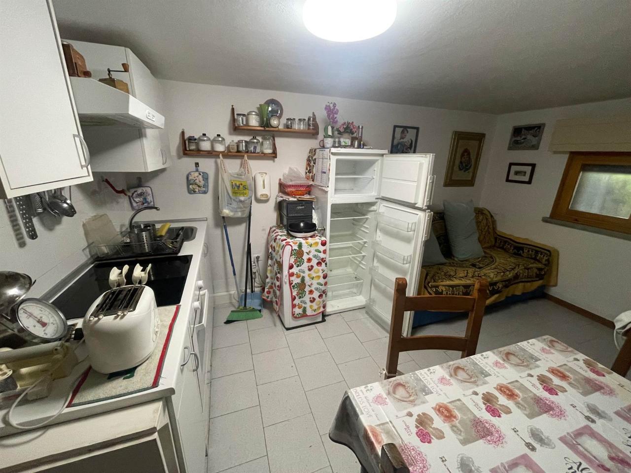 immagine annuncio 1 di 14