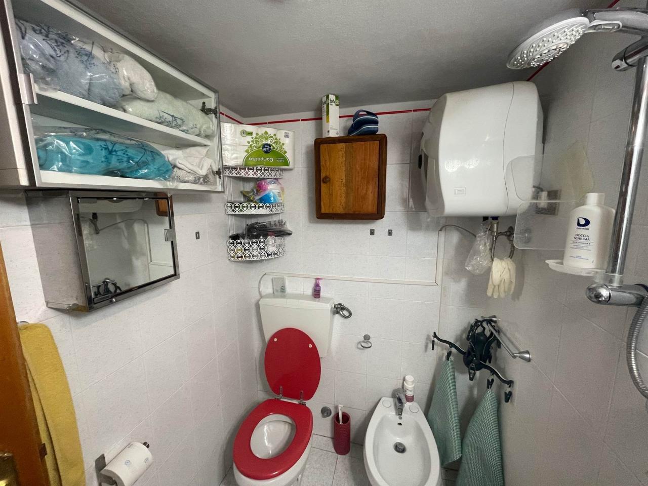 immagine annuncio 5 di 14