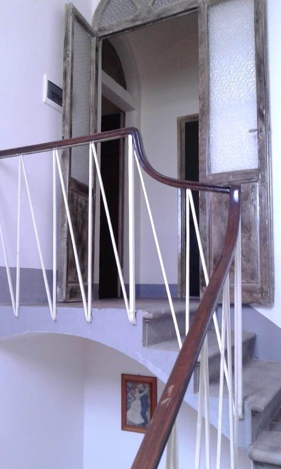 immagine annuncio 4 di 14