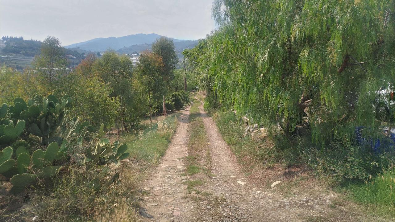 Capannone in Strada Ciousse, Sanremo, {3} - Foto 1