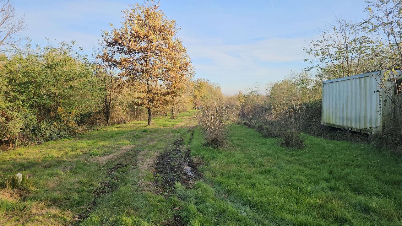 immagine annuncio 11 di 15