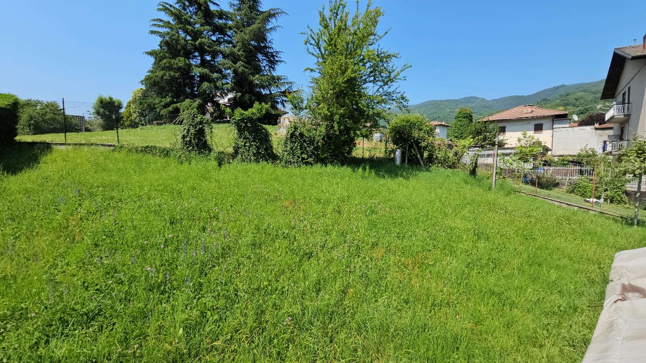 immagine annuncio 8 di 14