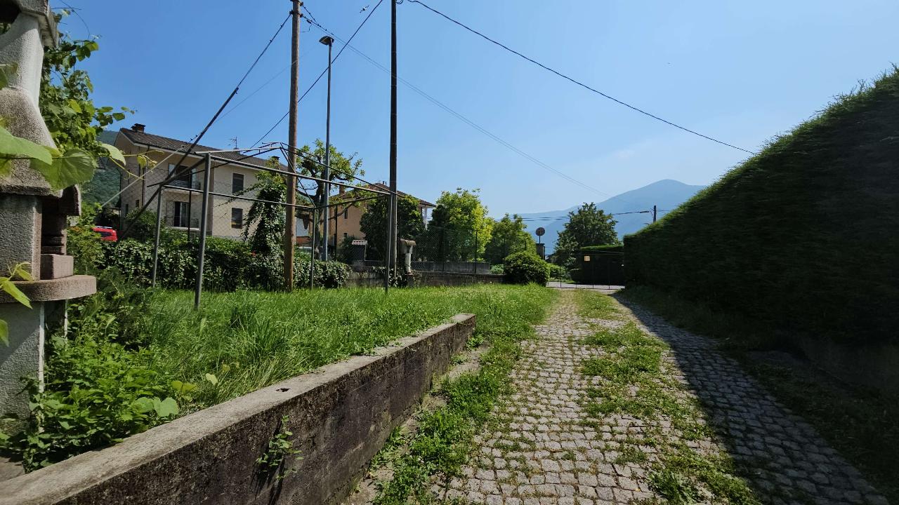 immagine annuncio 12 di 14