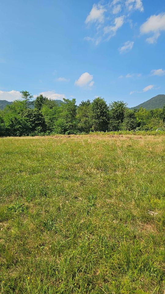 immagine annuncio 9 di 14