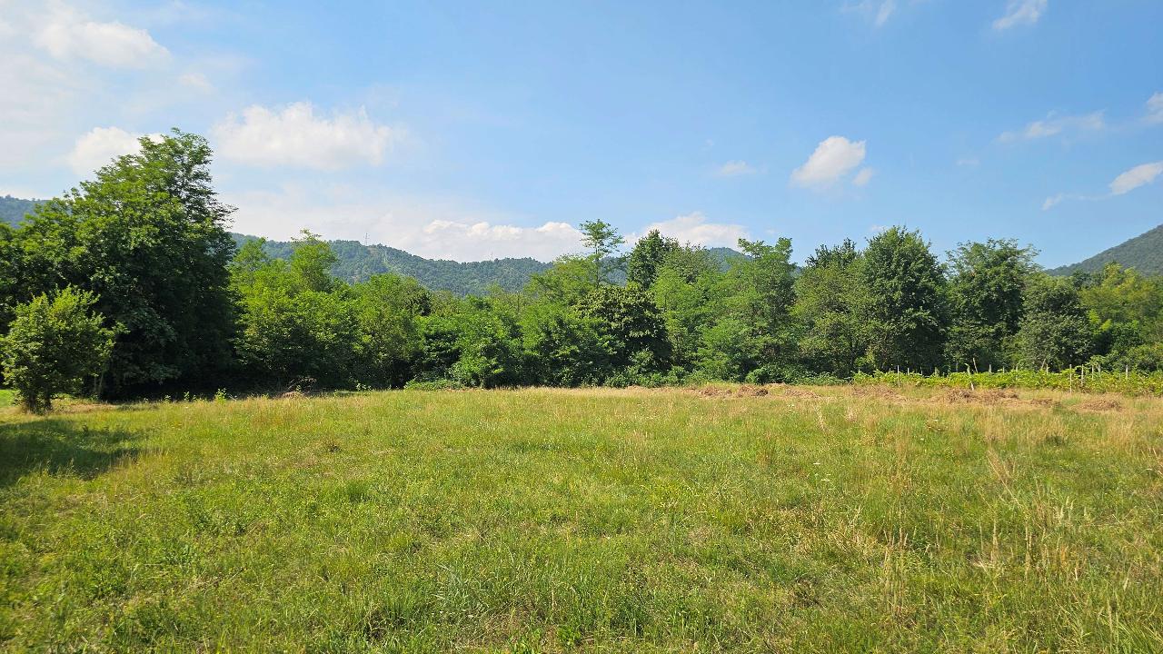 immagine annuncio 1 di 14