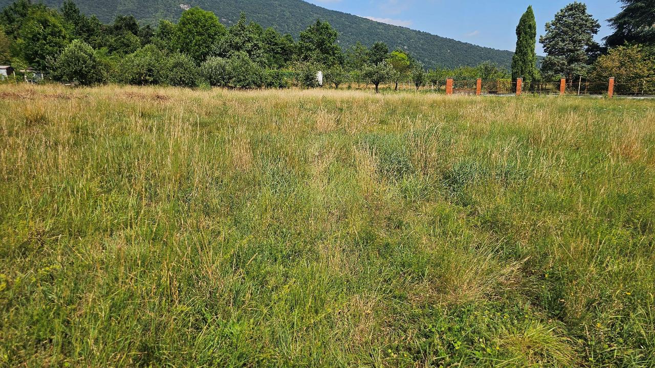 immagine annuncio 8 di 14