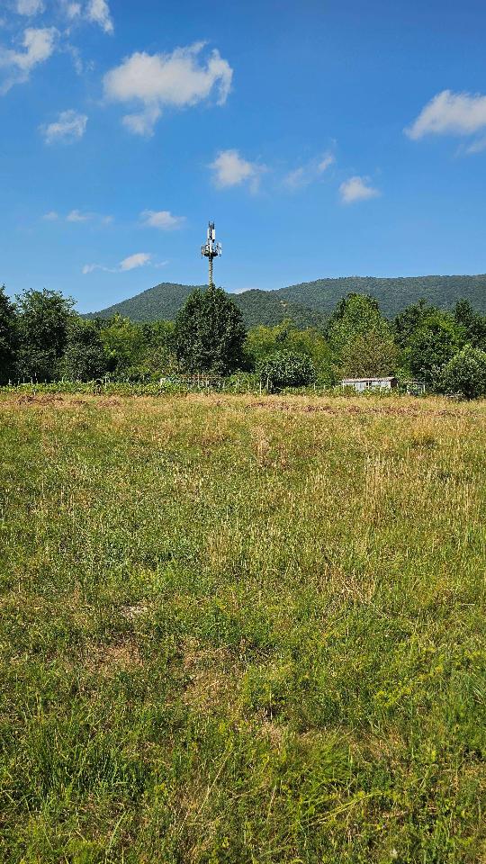 immagine annuncio 10 di 14