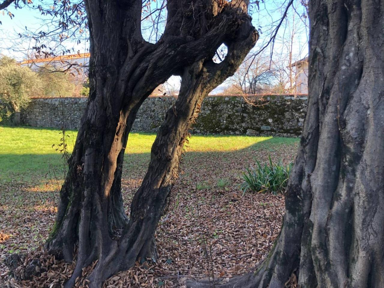 immagine annuncio 8 di 14