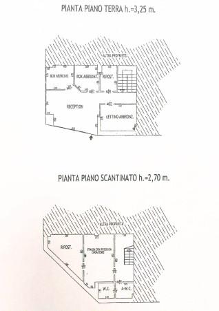 Negozio in Largo dei Pecile, Udine, {3} - Planimetria 1