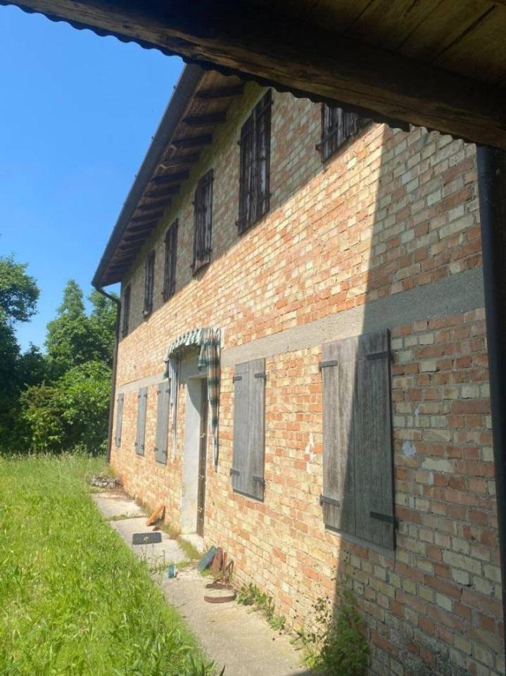immagine annuncio 5 di 6