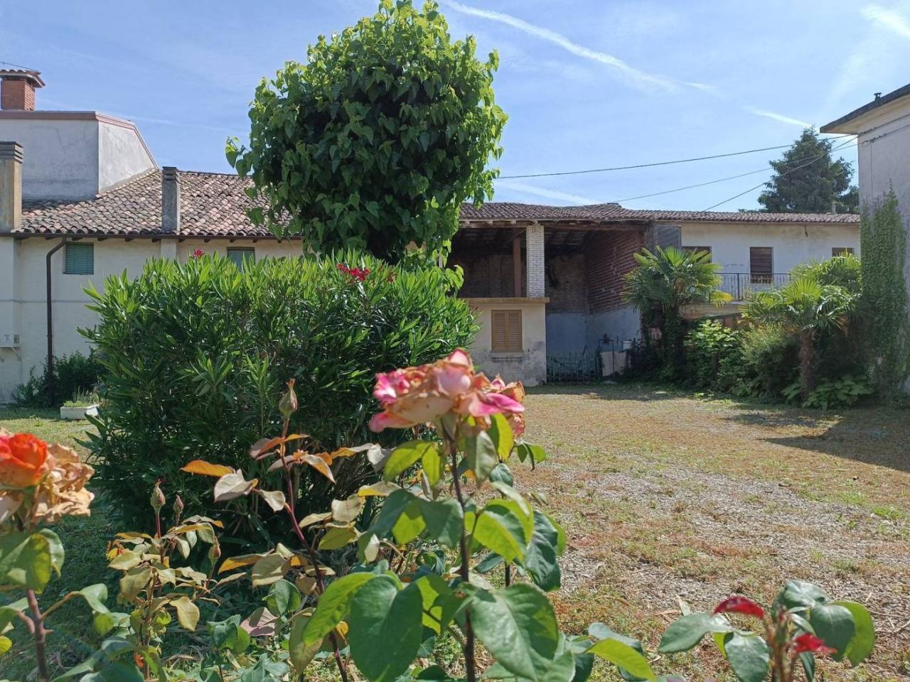 immagine annuncio 5 di 14