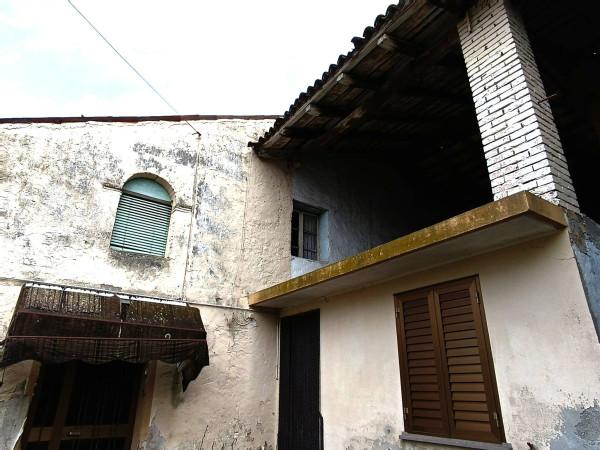 immagine annuncio 12 di 14