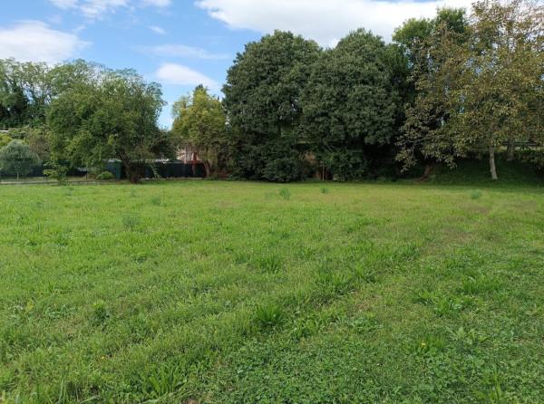 immagine annuncio 3 di 6