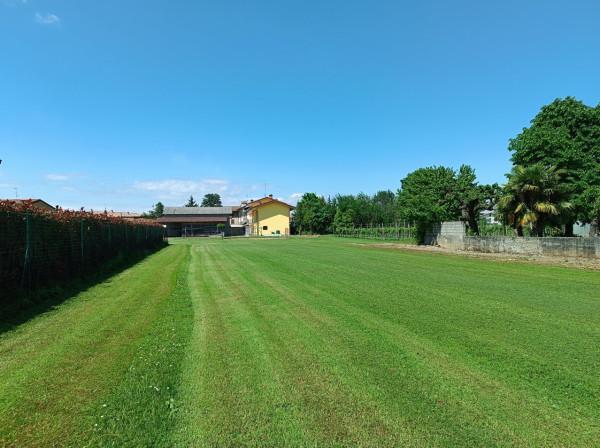 immagine annuncio 2 di 7