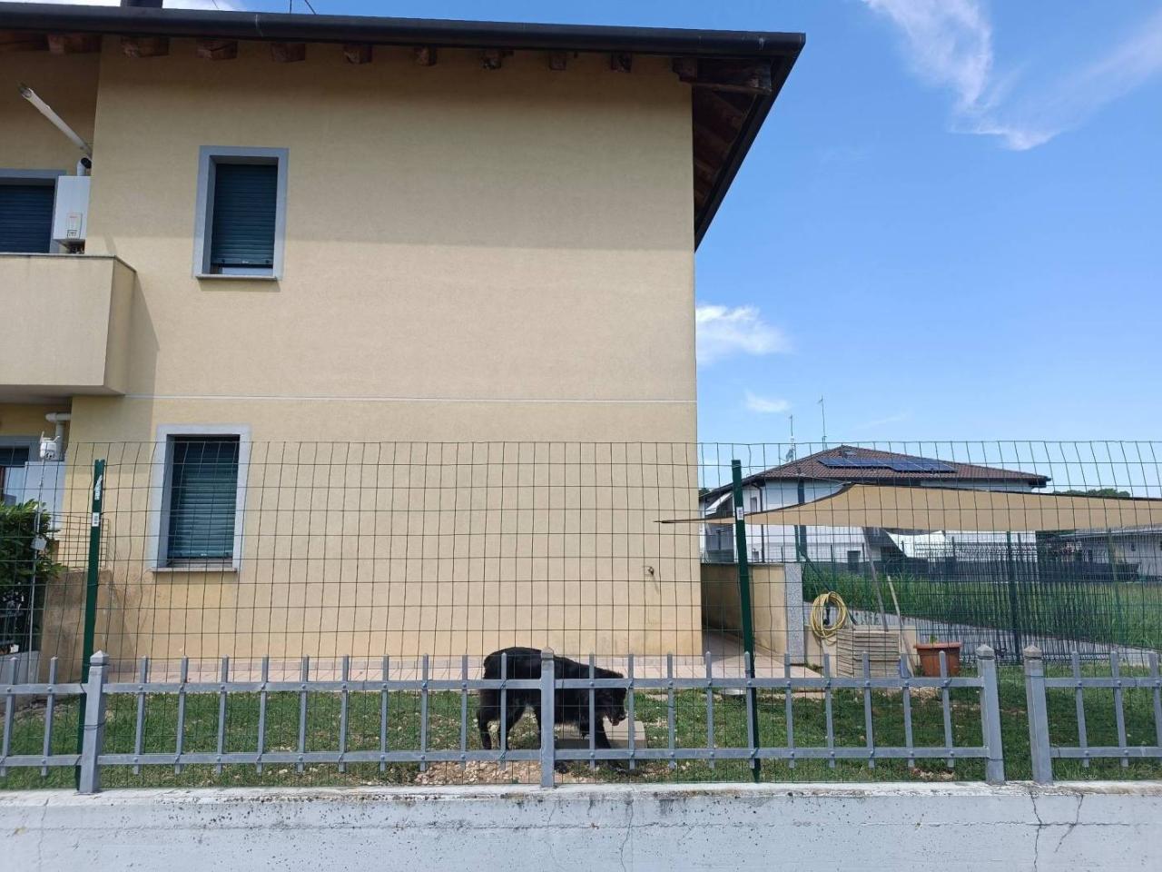 immagine annuncio 3 di 15