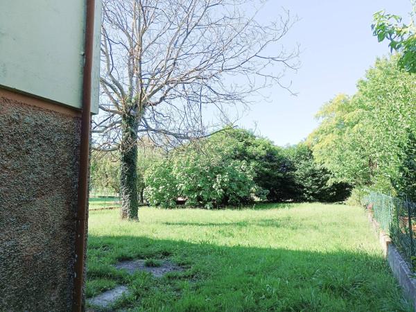 immagine annuncio 5 di 8