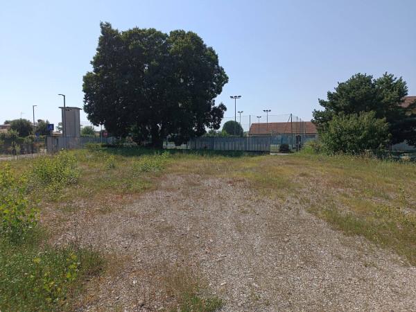 immagine annuncio 4 di 11