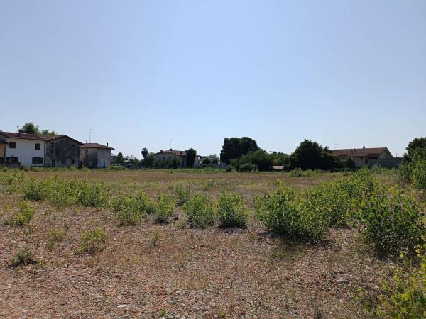 immagine annuncio 7 di 11