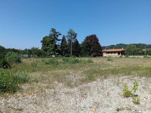 immagine annuncio 6 di 11