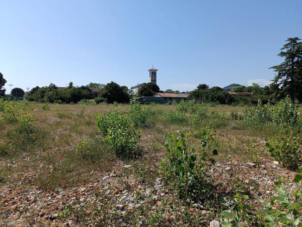 immagine annuncio 10 di 11