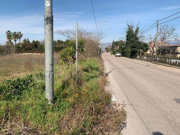 immagine annuncio 3 di 11