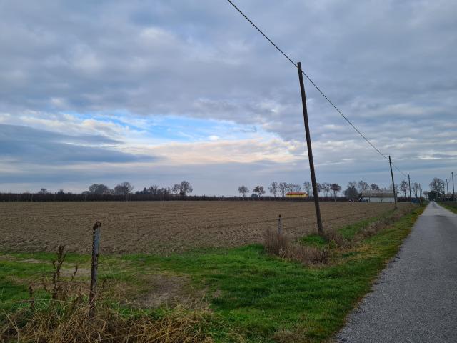 Industrial shed, Ferrara - Photo 1