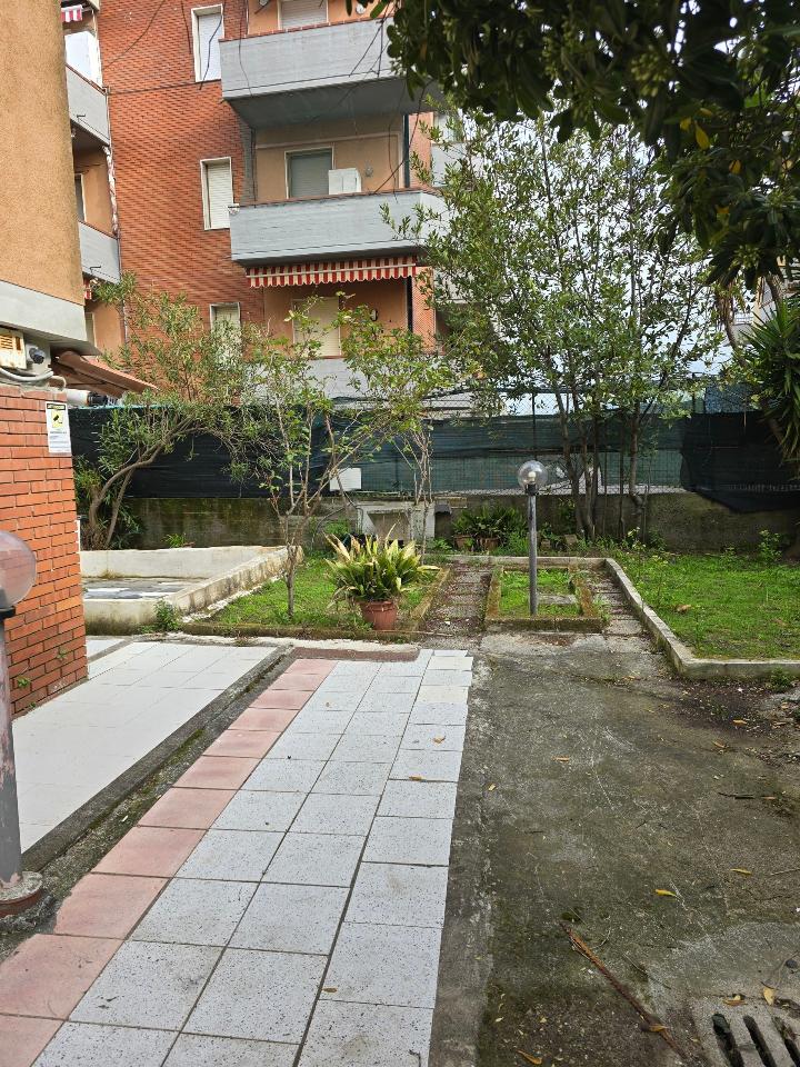 immagine annuncio 6 di 13