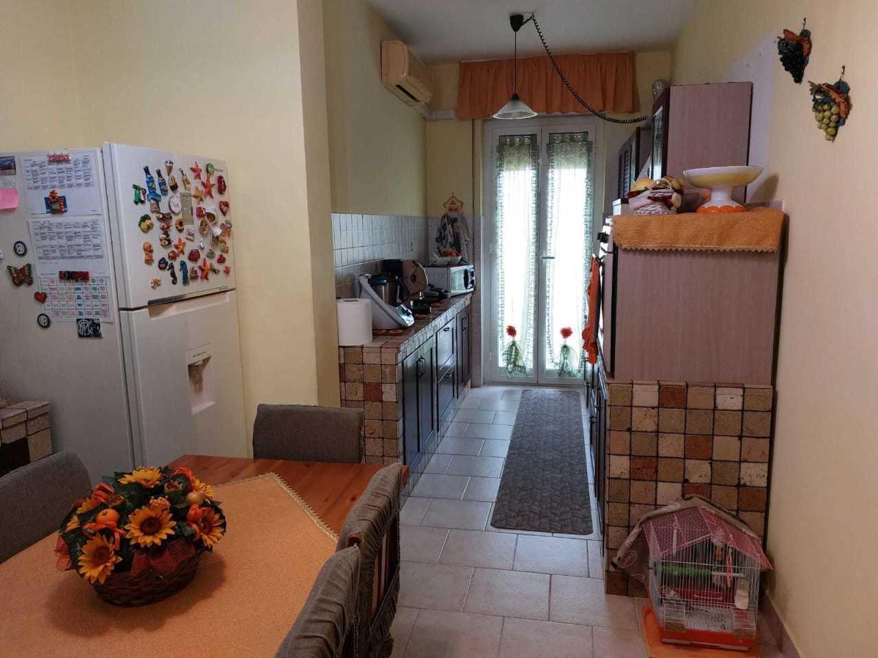 immagine annuncio 7 di 11