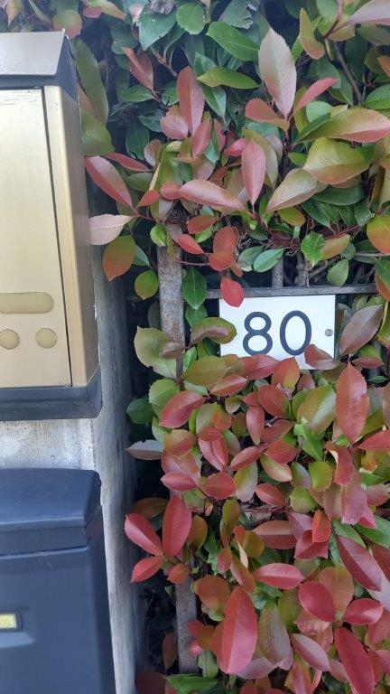 immagine annuncio 4 di 14