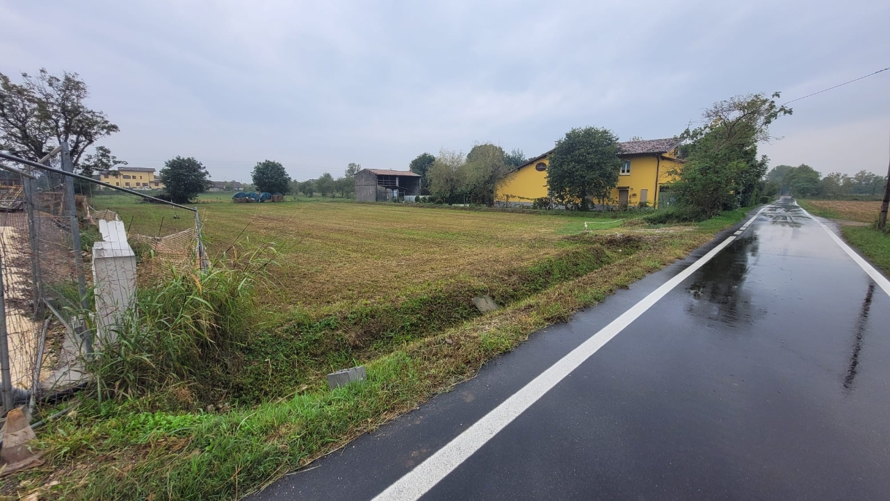 immagine annuncio 3 di 6