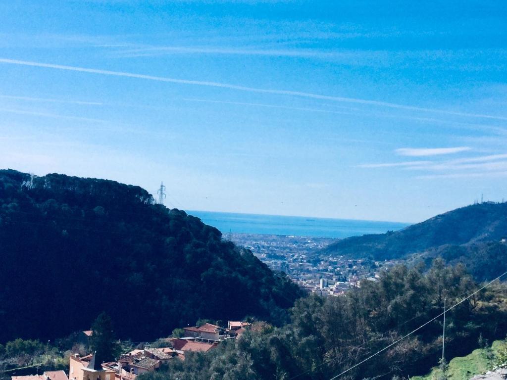 immagine annuncio 6 di 14