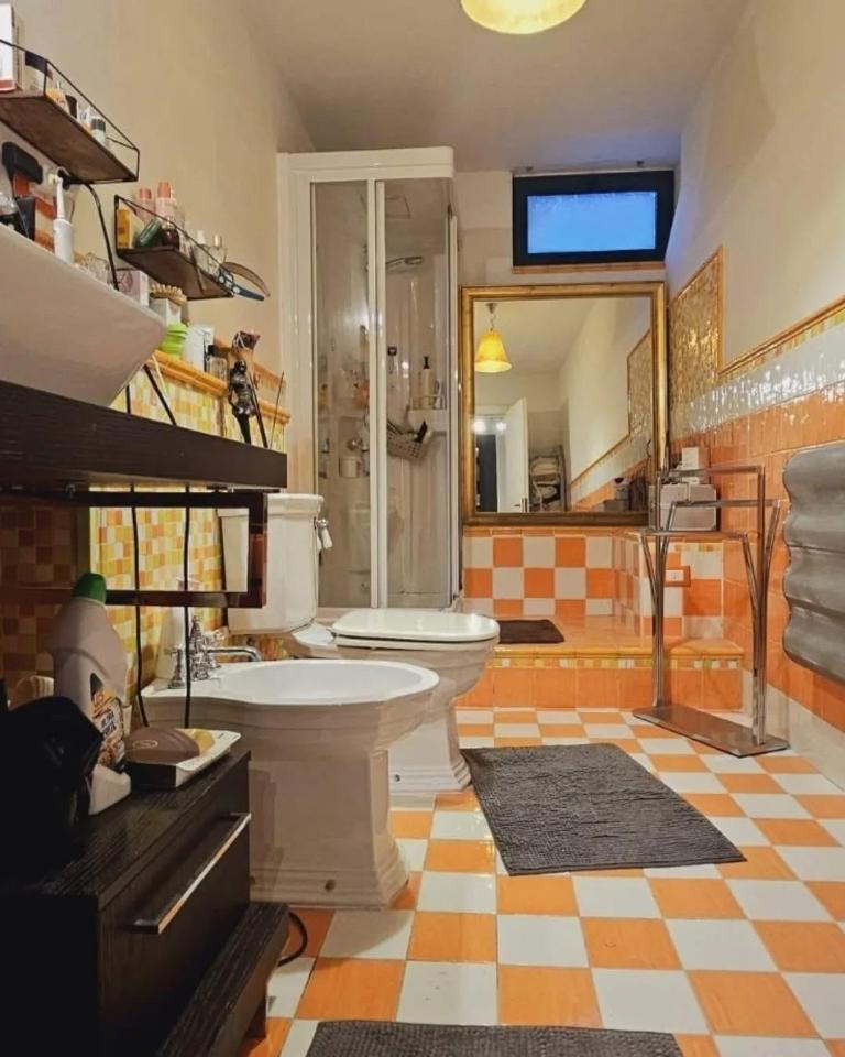 immagine annuncio 12 di 15