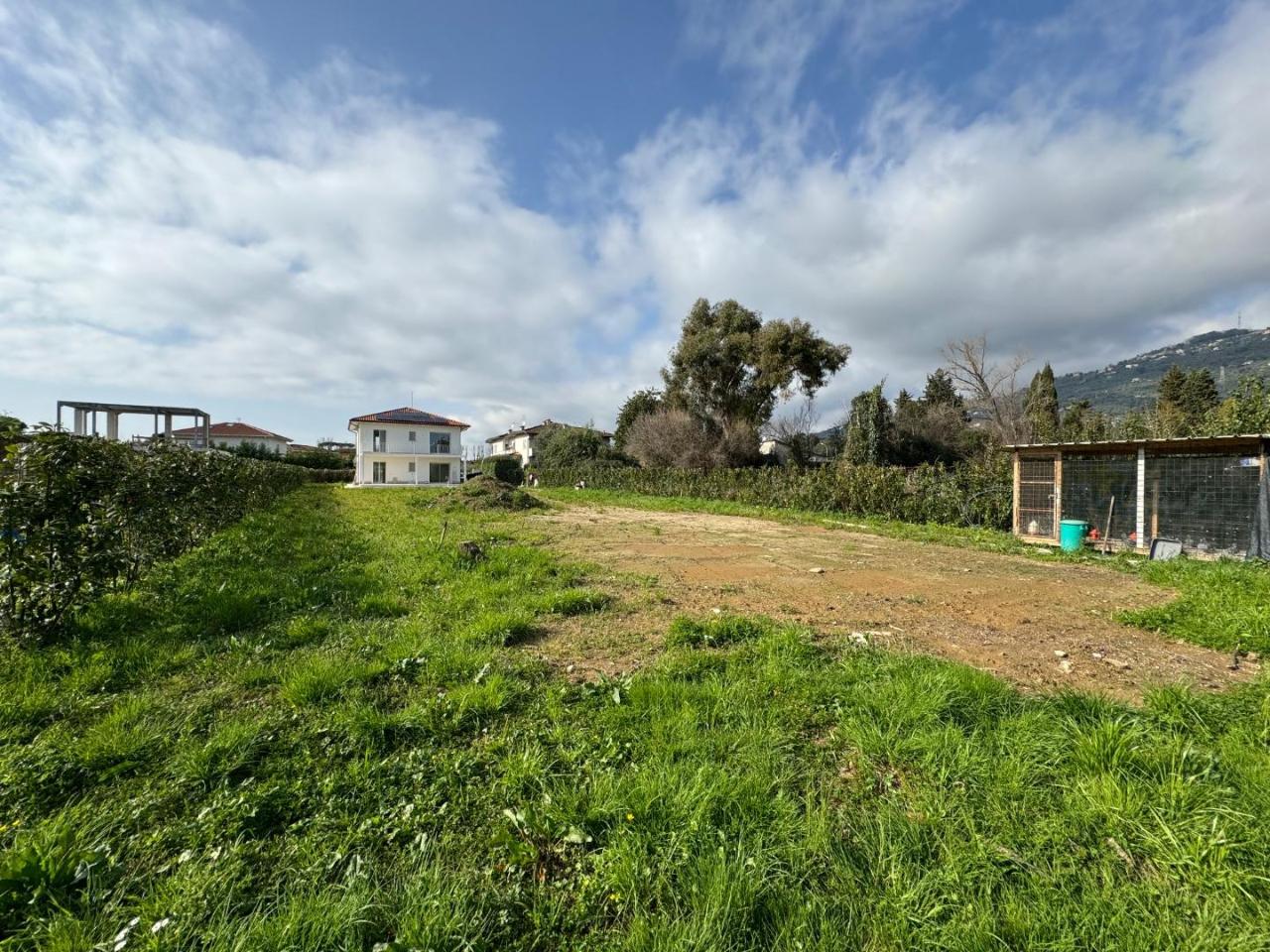 immagine annuncio 5 di 6