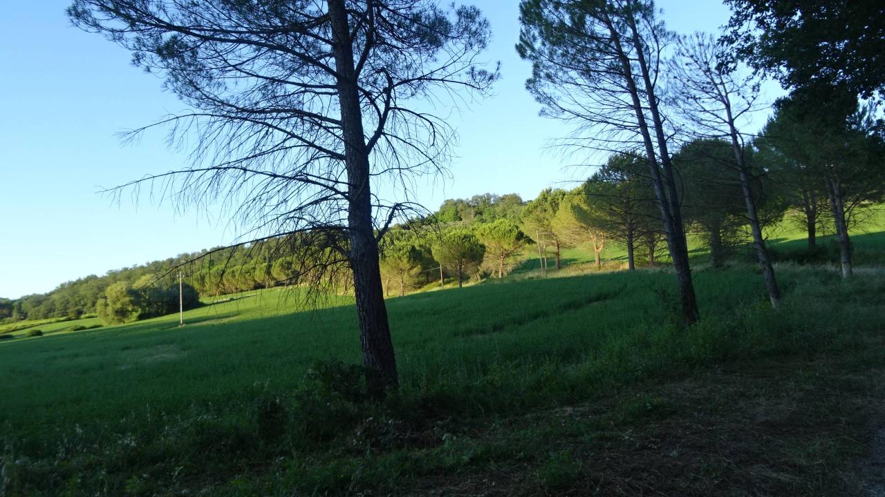 Azienda agricola in Via Romita 50, Montespertoli, {3} - Foto 2