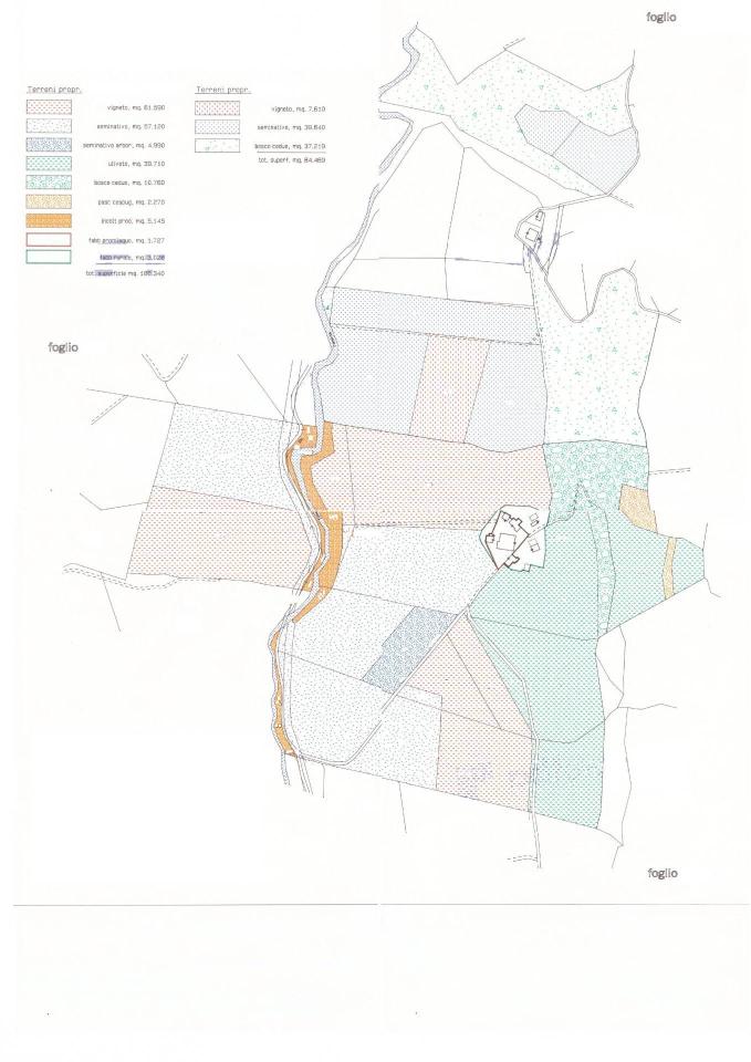 Azienda agricola in Via Romita 50, Montespertoli, {3} - Planimetria 1