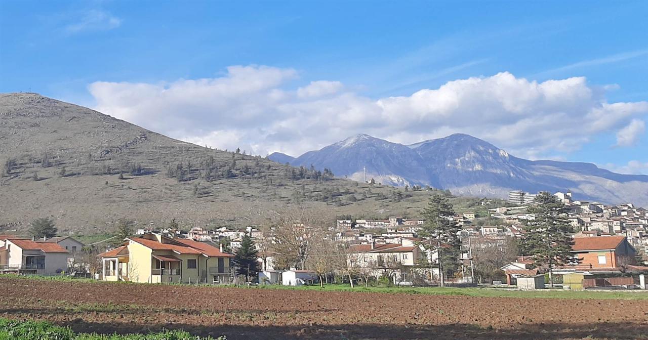 immagine annuncio 4 di 14