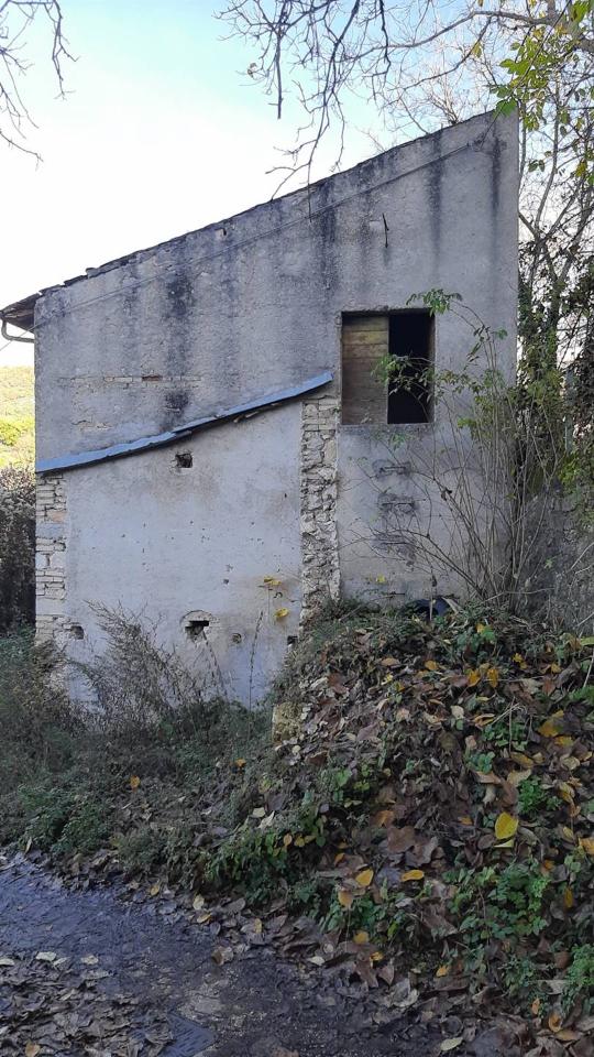 immagine annuncio 1 di 2