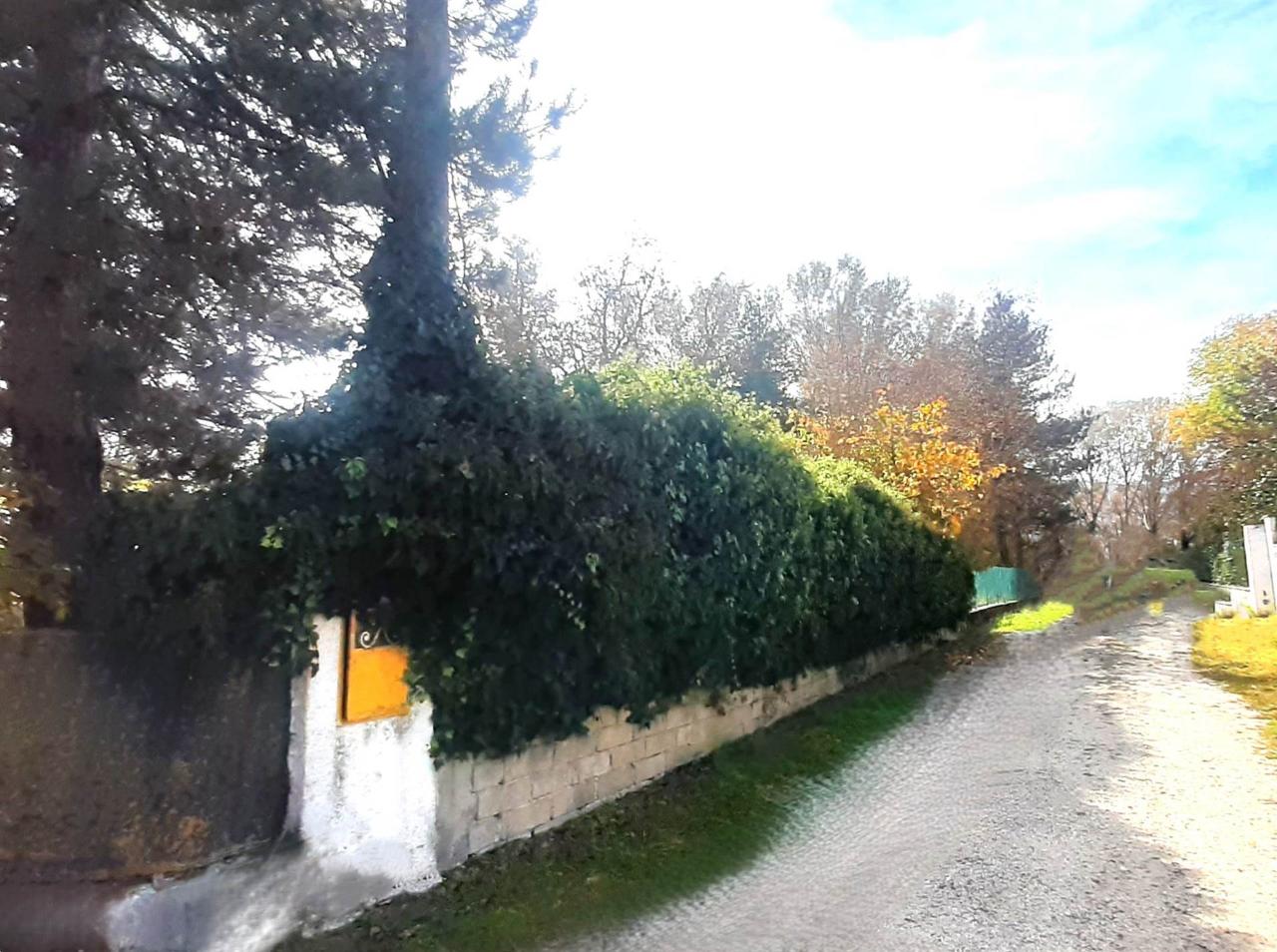 immagine annuncio 5 di 9