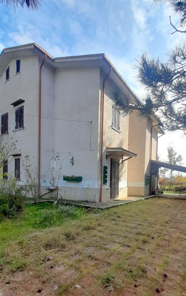 immagine annuncio 2 di 9