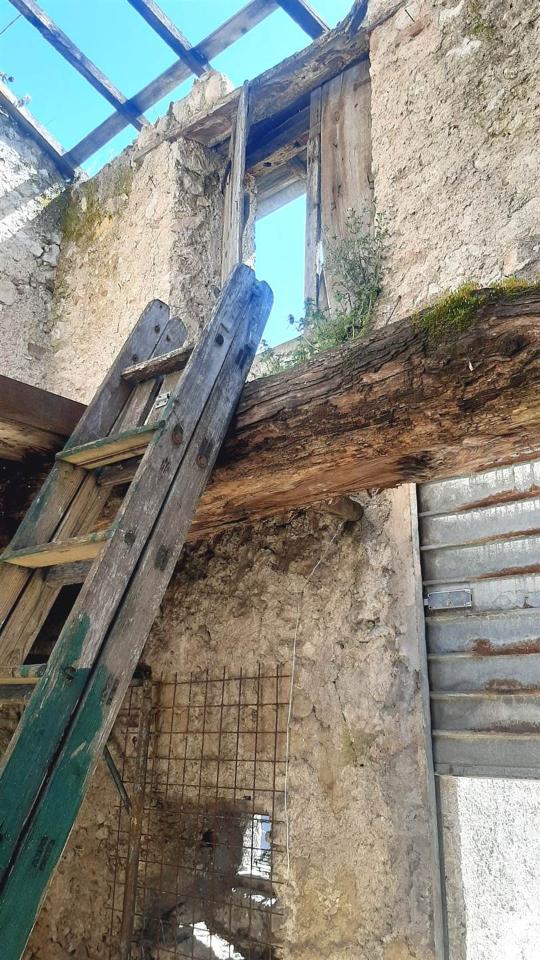 immagine annuncio 7 di 12