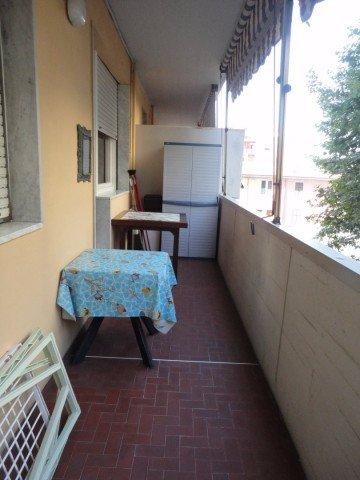 immagine annuncio 10 di 14