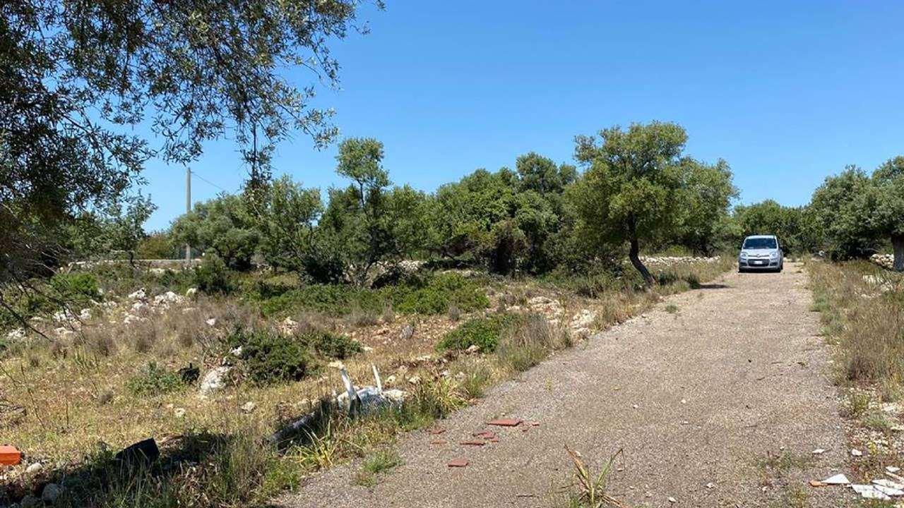 immagine annuncio 6 di 9