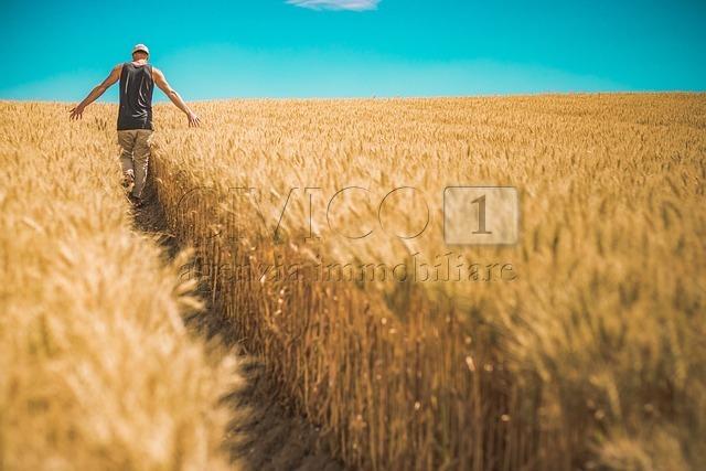 Terreno agricolo in vendita a Barbarano Mossano