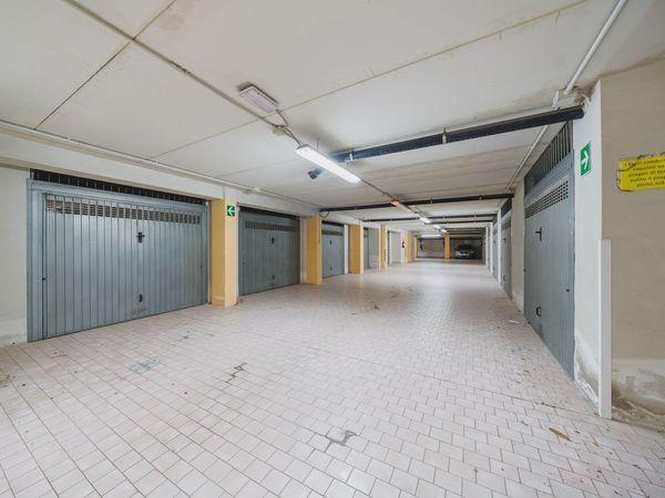 immagine annuncio 12 di 14