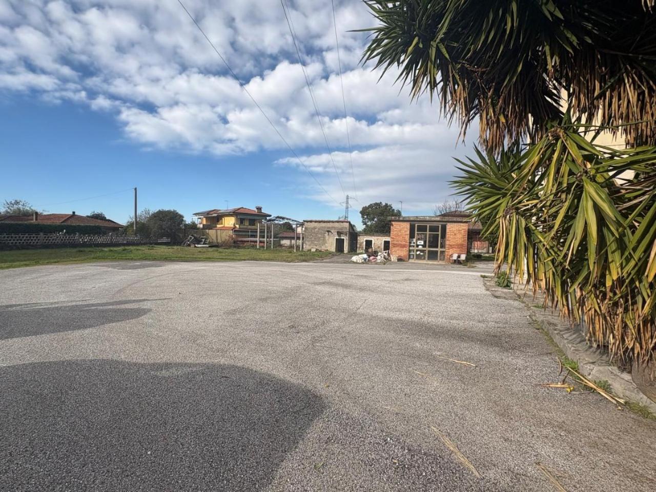 immagine annuncio 4 di 7