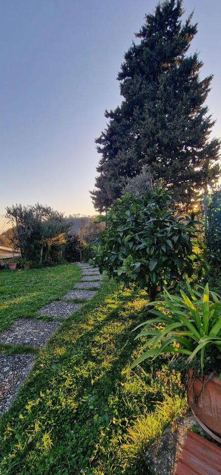 appartamento in vendita a Carrara in zona Sorgnano