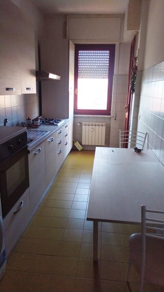 immagine annuncio 2 di 12