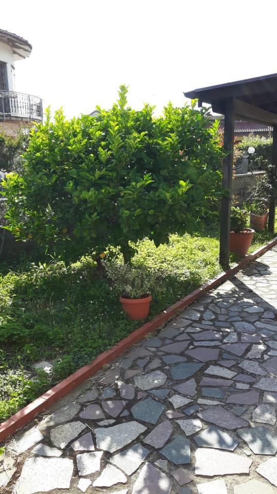 immagine annuncio 3 di 11